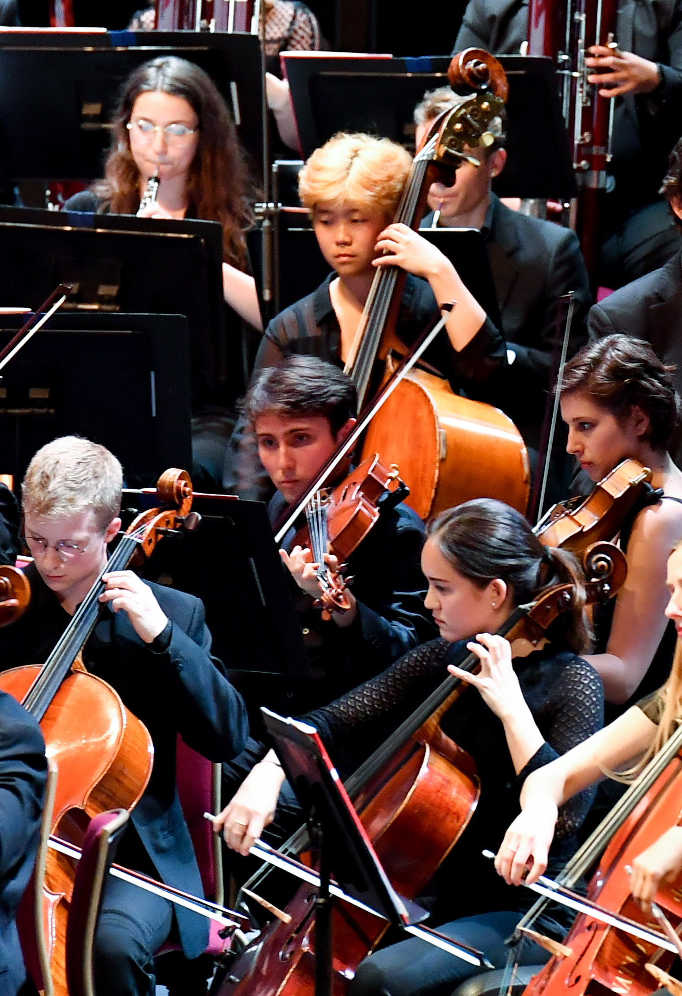 String players mid-performance, including double bass player Janice Gho