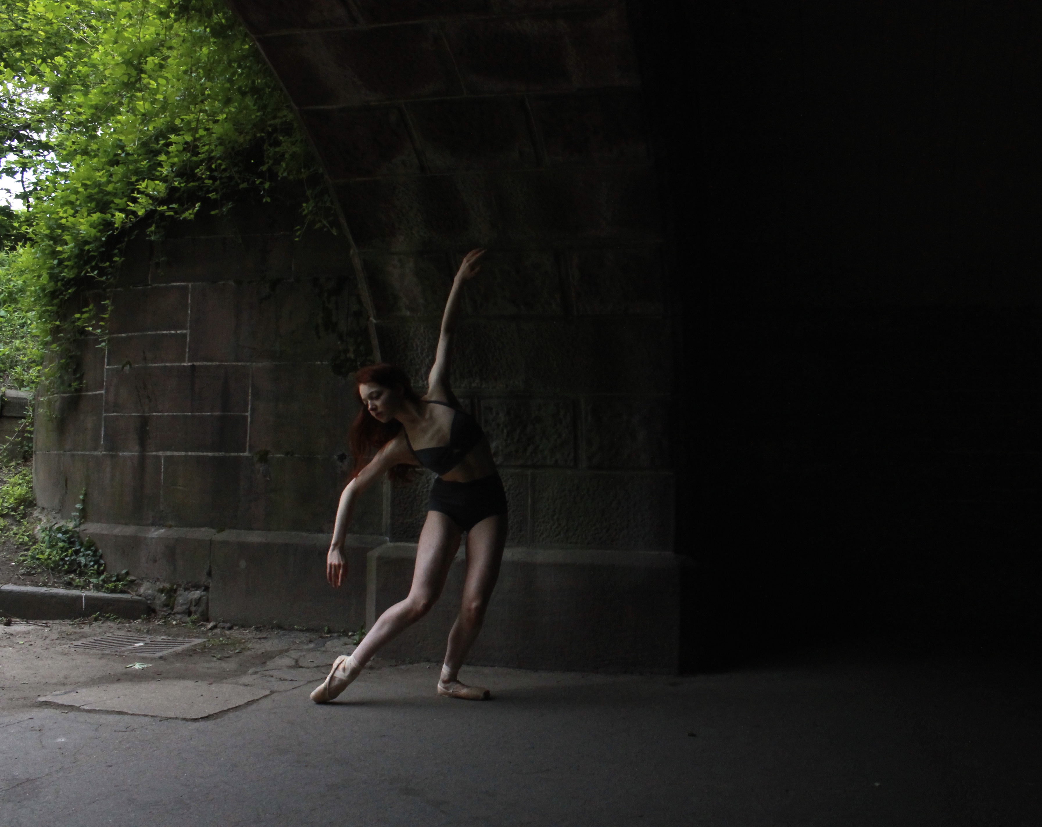 Mossy poses under a bridge in the park.