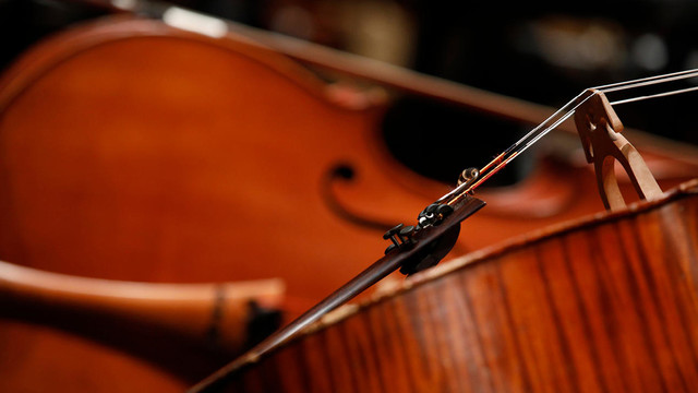 close up of a cello