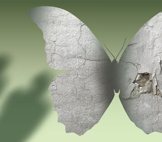 decaying butterfly with shadows against green gradient background