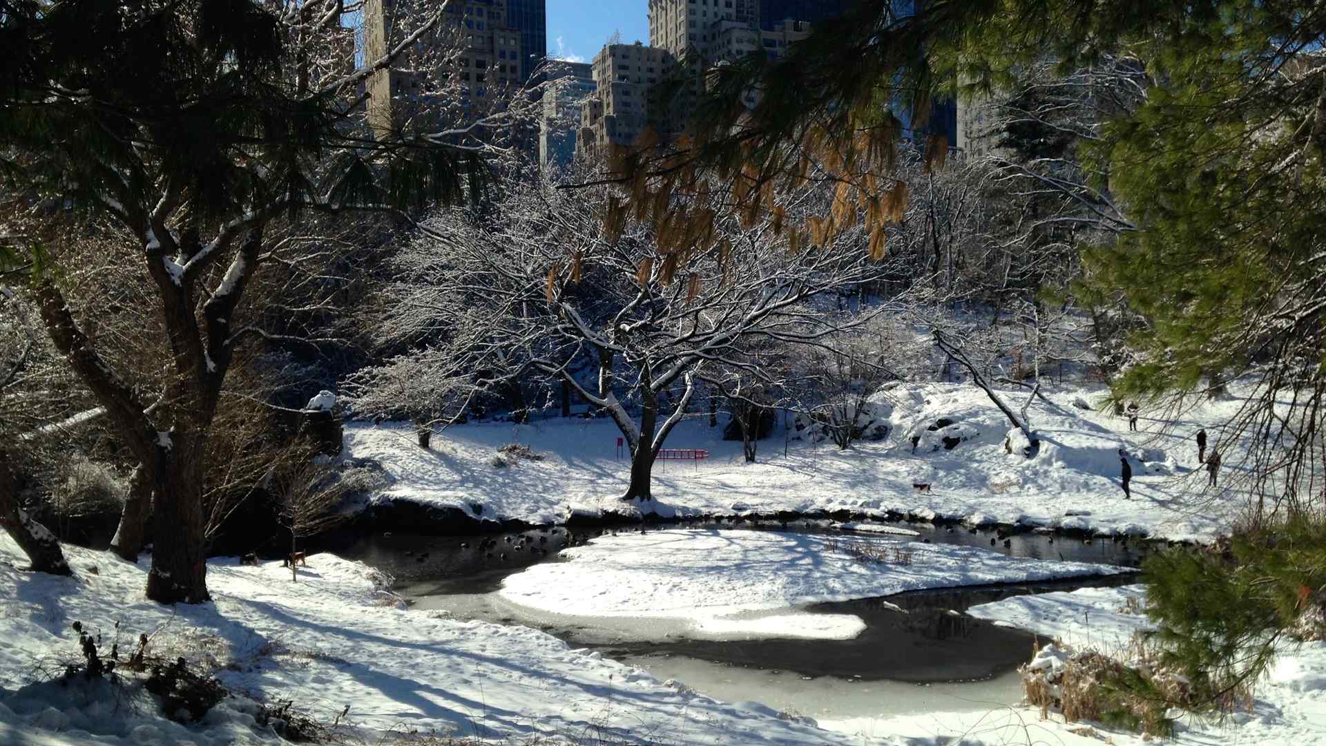 Winter at Central Park