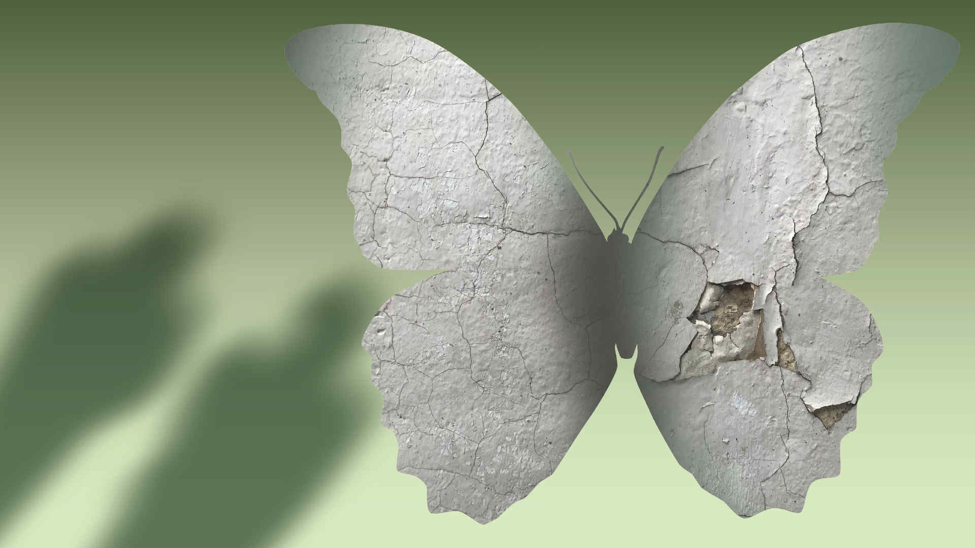 decaying butterfly with shadows against green gradient background