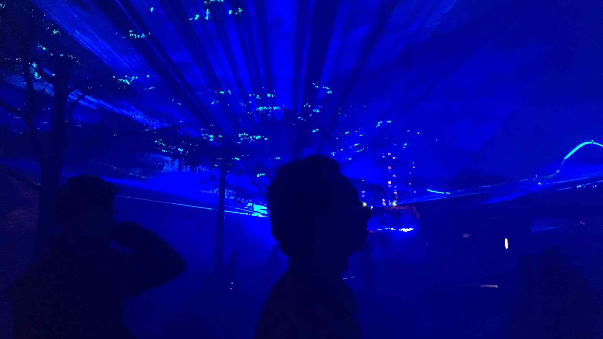 A photo of Ben silhouetted in blue light