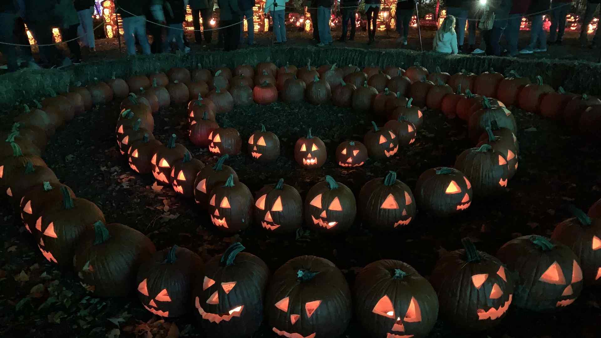 A display of jack-o-lanterns