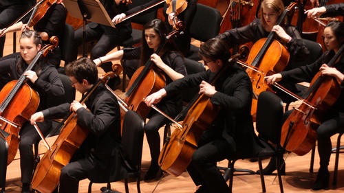 Cello section of the orchestra performing at a concert