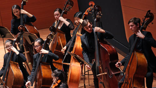 The Double Bass section of the orchestra performing on stage