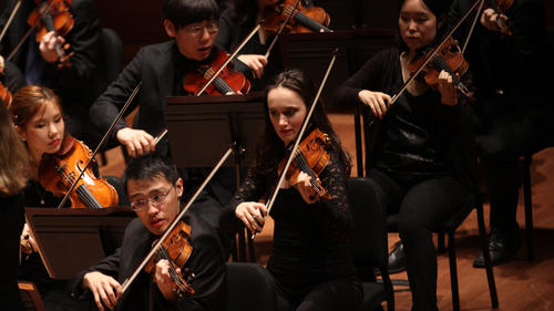 Violin section of the orchestra during a performance